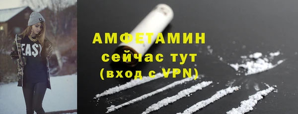 гидра Аркадак