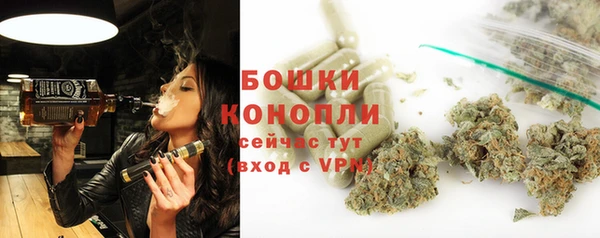 гидра Аркадак