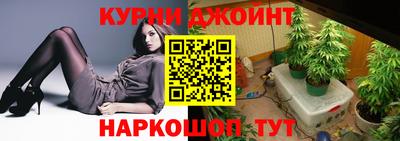 шишки Бийск