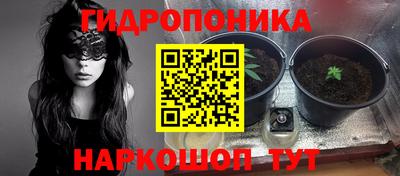 гашиш Апшеронск