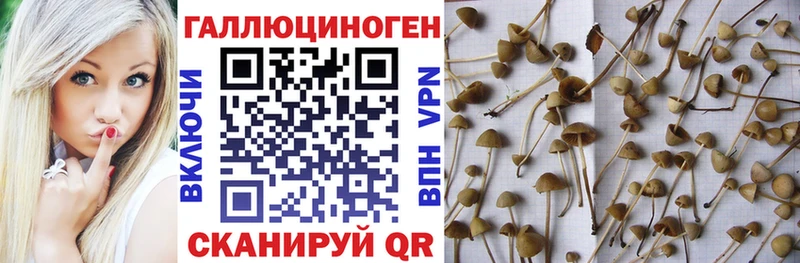 Галлюциногенные грибы мухоморы  как найти закладки  дарк нет телеграм  Белово 