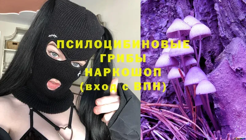 Галлюциногенные грибы Magic Shrooms  Белово 